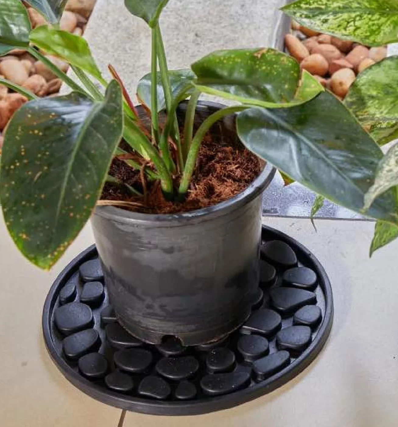 Podložky pod květináč