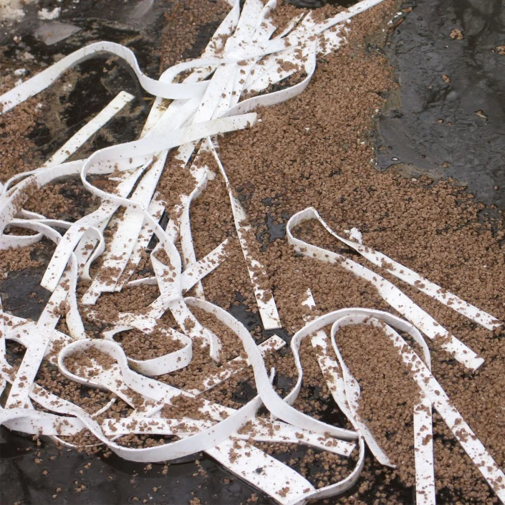 Öliges sorptiones Läufer