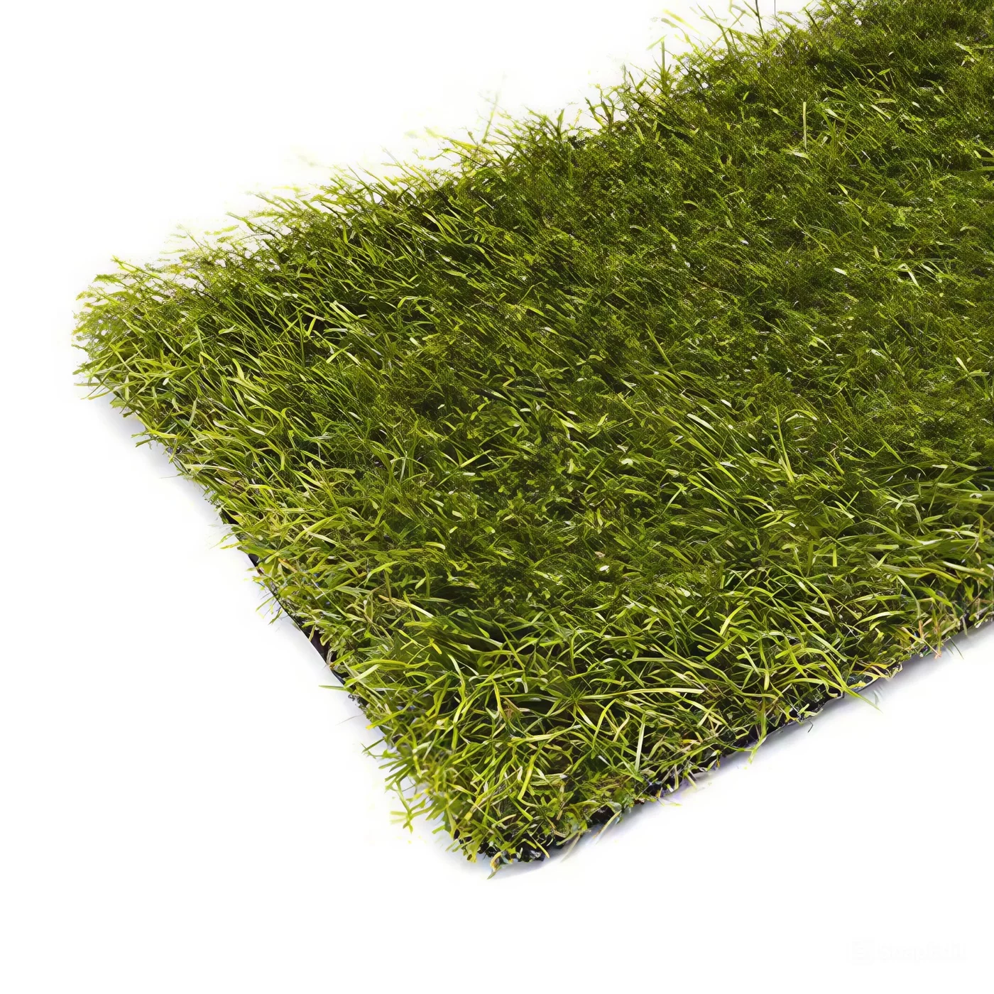 Kunstrasen (Maßanfertigung) Paloma - Länge 1 cm, Breite 200 cm, Höhe 4 cm - Grün