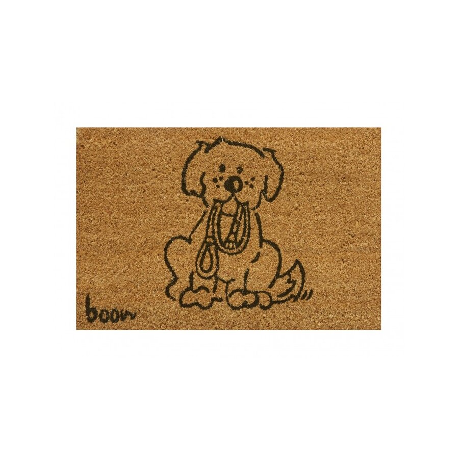 Kokosová čistiaca vonkajšia vstupná rohož FLOMA Puppy - dĺžka 40 cm, šírka 60 cm, výška 1,4 cm